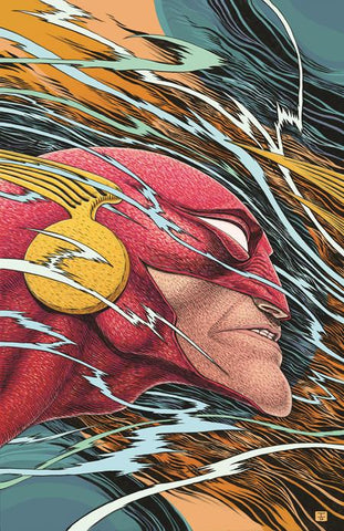 FLASH #14 CVR C IAN BERTRAM VARIANT