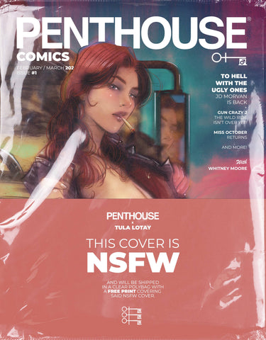 PENTHOUSE COMICS 2025 #1 COVER PACK PRE-ORDER