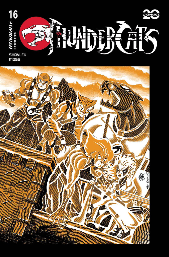 THUNDERCATS #16 CVR G HAESER TMNT HOMAGE