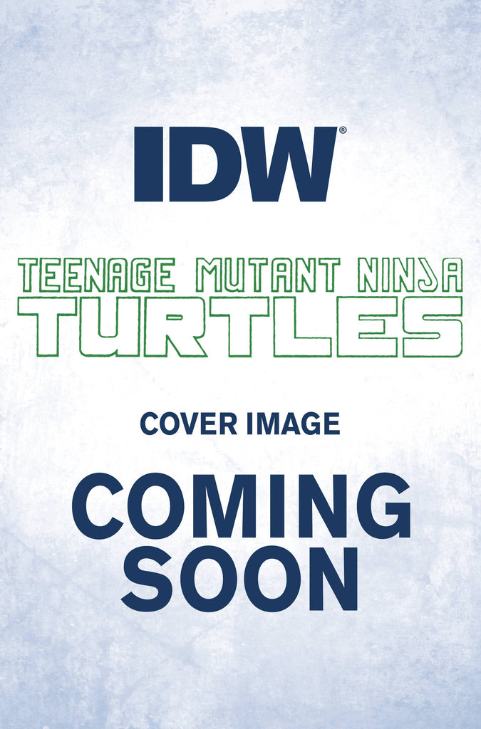 TMNT Vs Street Fighter 1 Cover A B C Variant Set or 1:25 1:50 Options 2023  NM